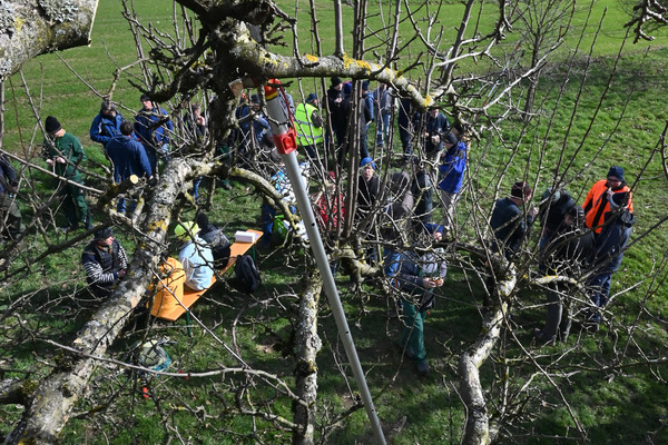 Landschaftspflegetag in der Gemeinde Vörstetten Landschaftspflegetag in der Gemeinde Vörstetten