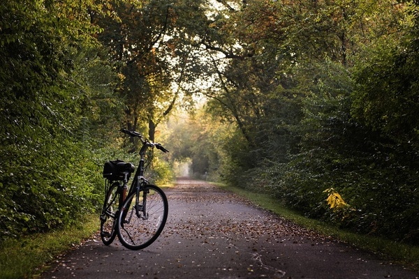 Fahrrad steht auf dem Weg in einem Wald