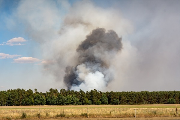 Ein weitl&auml;ufiges Feld erstreckt sich im Vordergrund. Dahinter befindet sich ein Wald, aus dem Rauch aufsteigt.