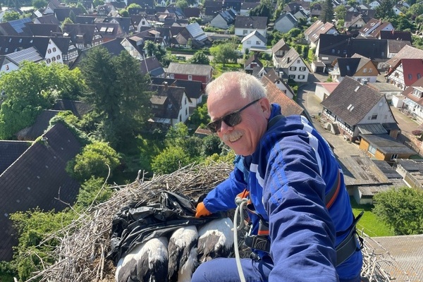Martin Kury vom Verein Weißstorch Breisgau e.V. beringt die Störche der Gemeinde Vörstetten Martin Kury vom Verein Weißstorch Breisgau e.V. beringt die Störche der Gemeinde Vörstetten