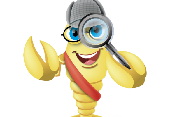 "V&ouml;rstetter G&auml;ssle-Wanderung" am 17.11.2024 