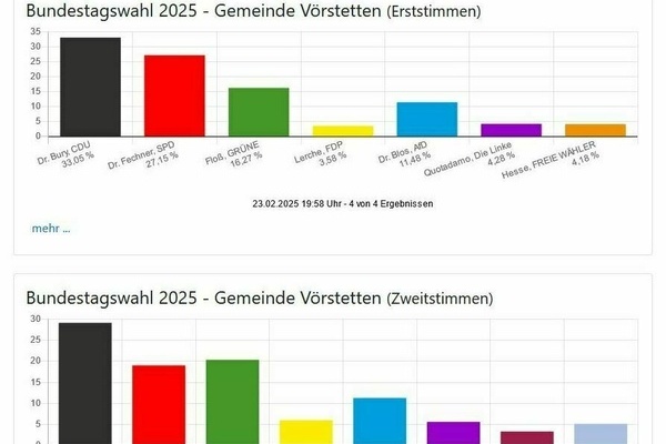 Bundestagswahl 2025 Bundestagswahl 2025